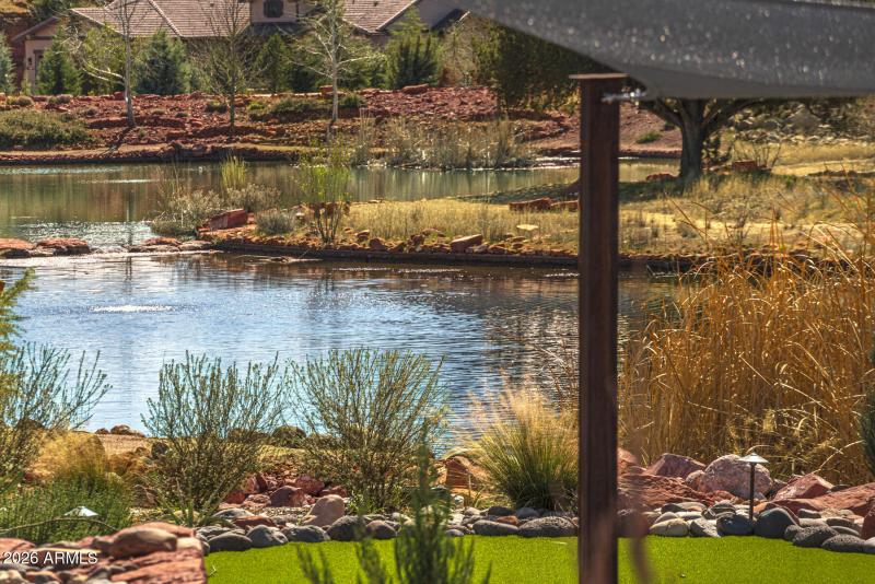 Pond view from the back patio