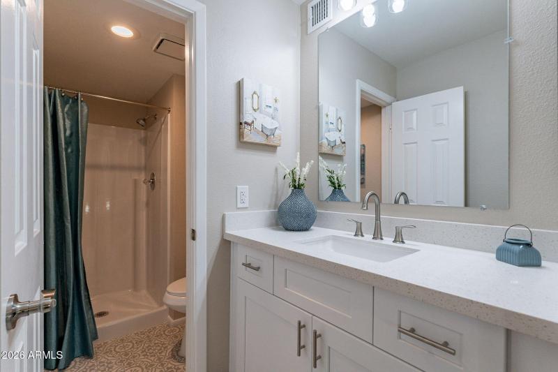 Master Vanity & Shower