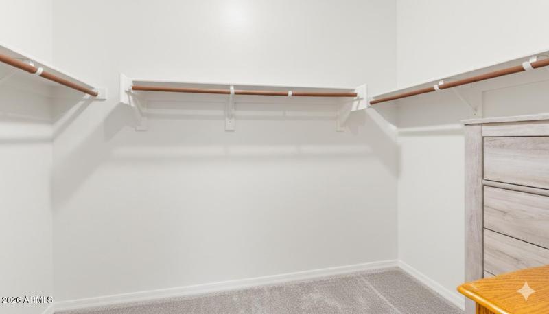 AI Primary bedroom closet