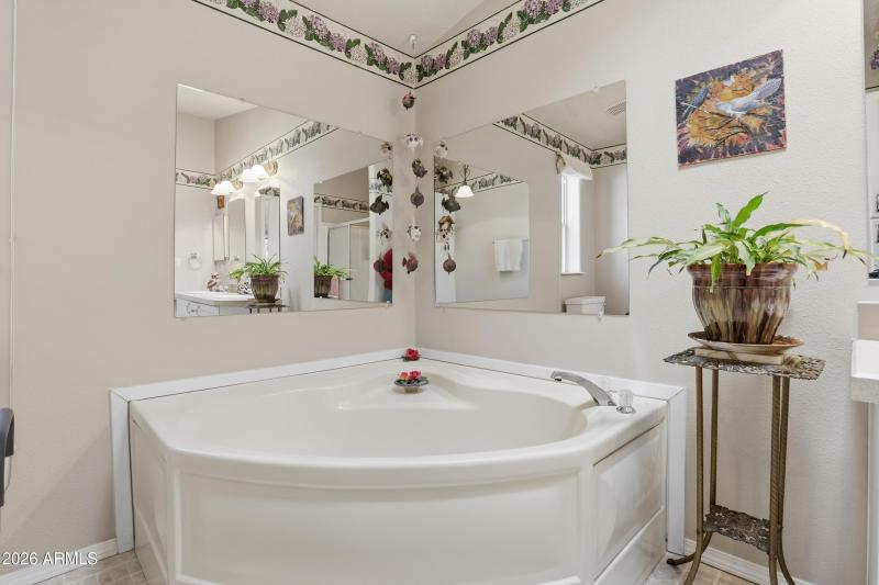 Master Bathroom (2)