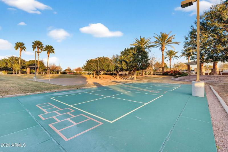 61-web-or-mls-63W Dragon Tree Ave