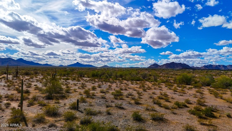 dji_fly_20260217_144654_0328_17713798224