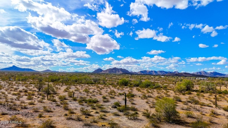 dji_fly_20260217_144646_0325_17713798232