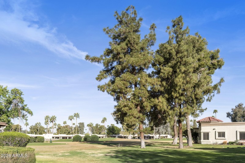 3-web-or-mls-DLB_7530