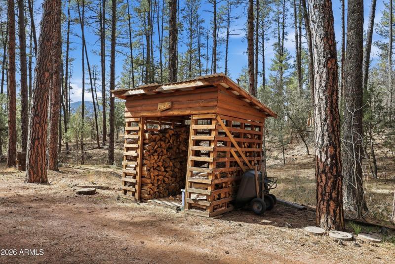 mls-robin_way_045 copy