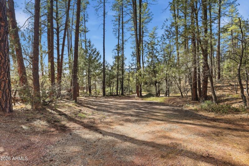 mls-robin_way_049 copy