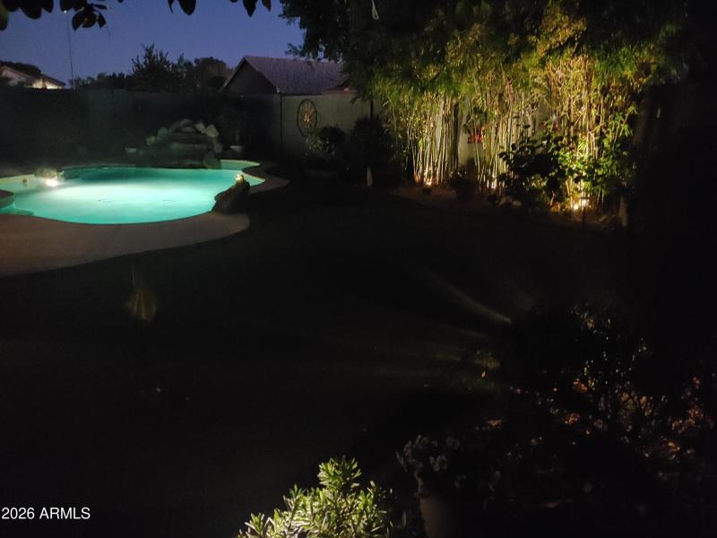 Take a nighttime Swim