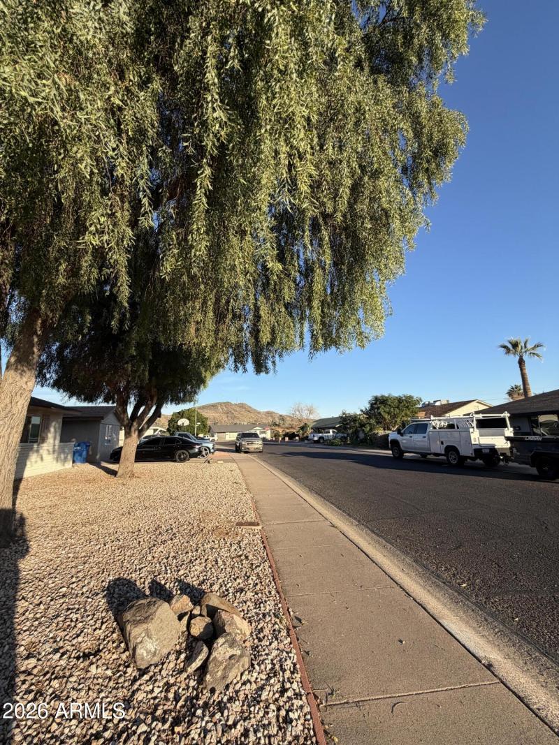 Mountain View from front yard