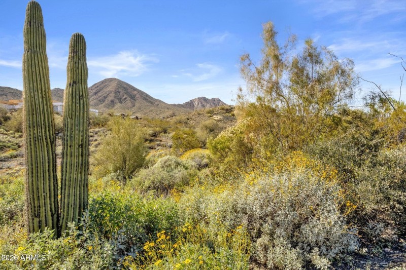 005_Corner Of Lot View