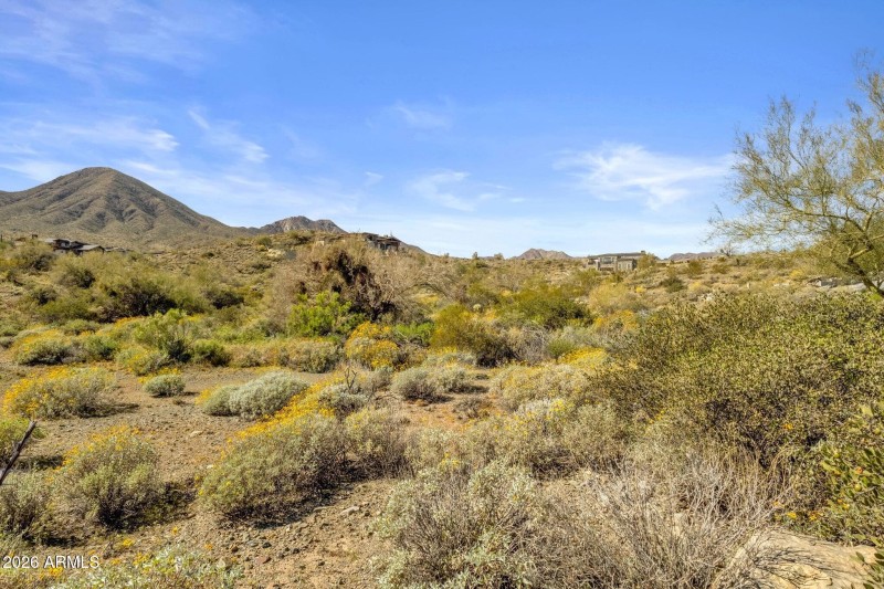 007_Side Of Lot View