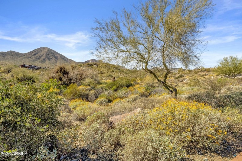 008_Side Of Lot View