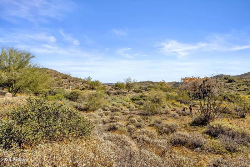 009_Back Of Lot View