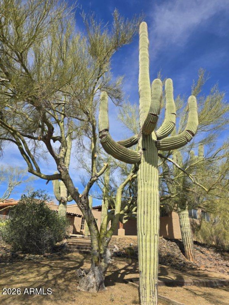 6601 E Willow Springs Ln N