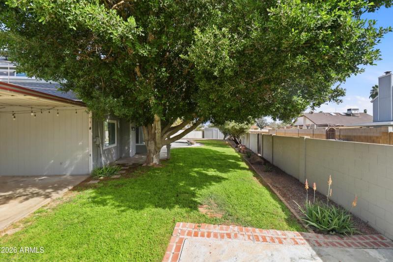 IMG_5833_autoremove_18175644