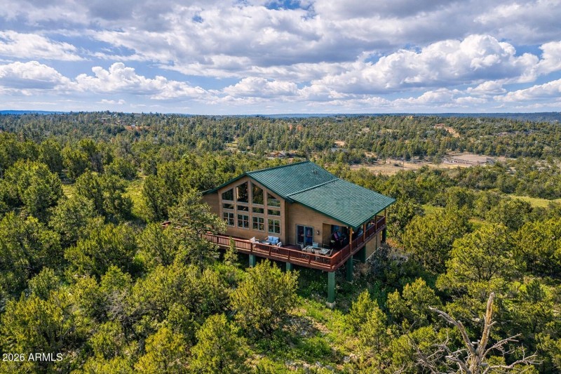 Aeriel View of Back- AI enhanced