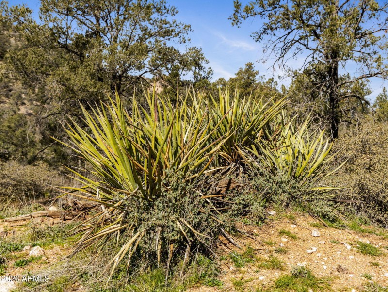 16-web-or-mls-00000 S Drifter Trail-13