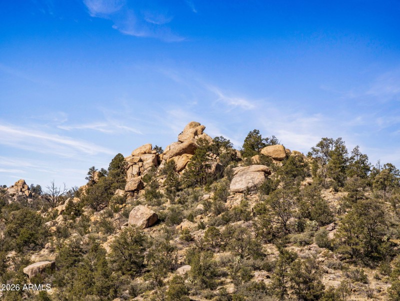 21-web-or-mls-00000 S Drifter Trail-28