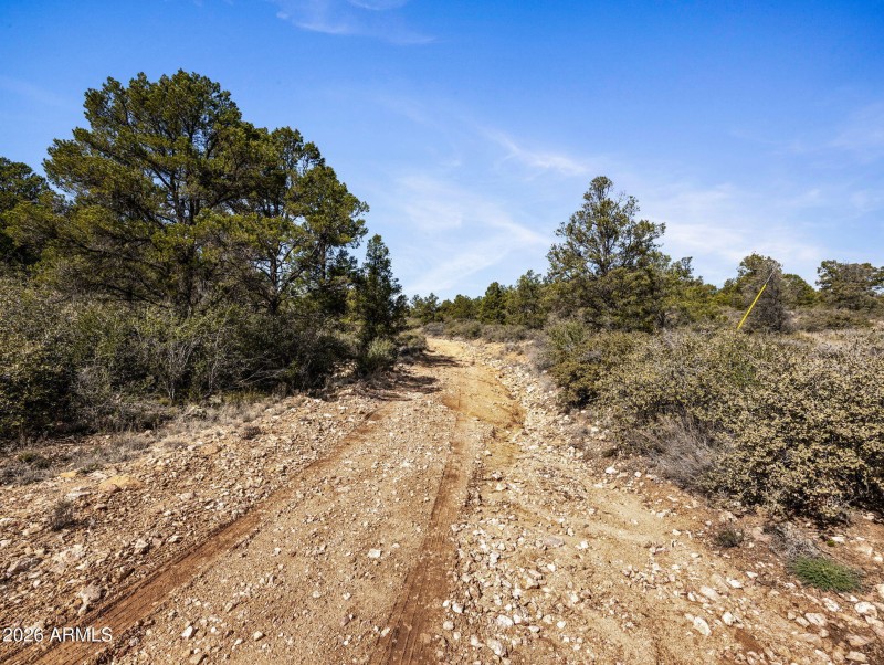 9-web-or-mls-00000 S Drifter Trail-9