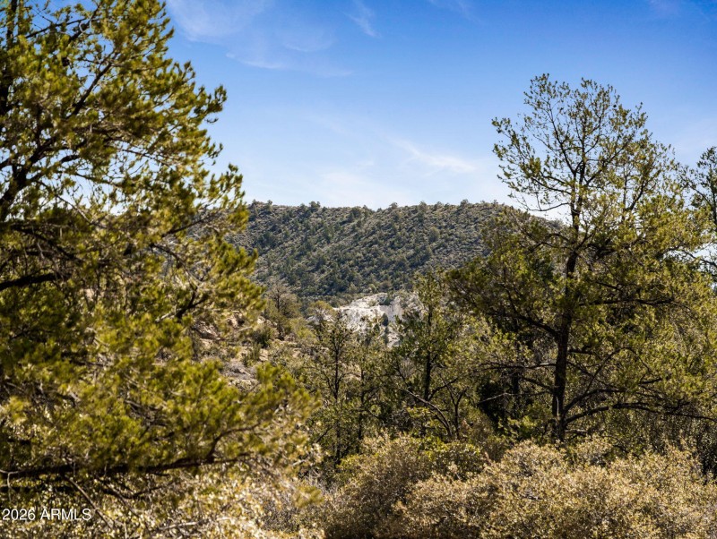 10-web-or-mls-00000 S Drifter Trail-12