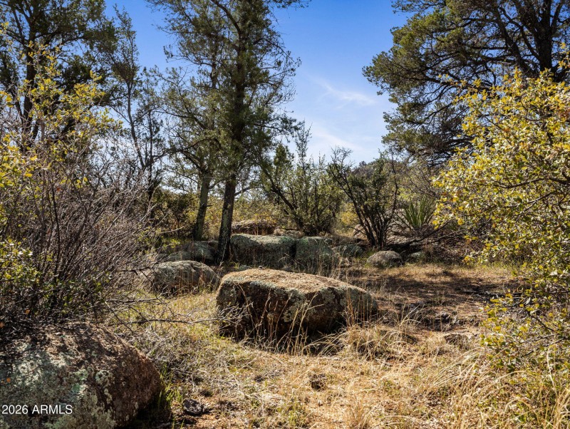 14-web-or-mls-00000 S Drifter Trail-14