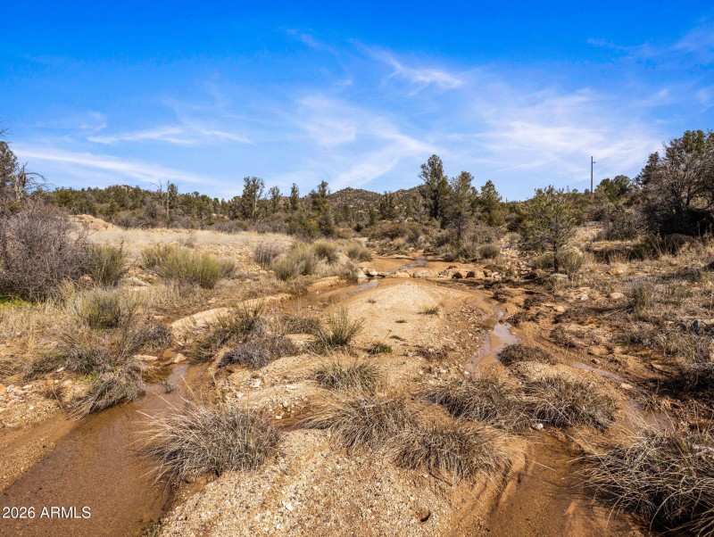 3-web-or-mls-00000 S Drifter Trail-3