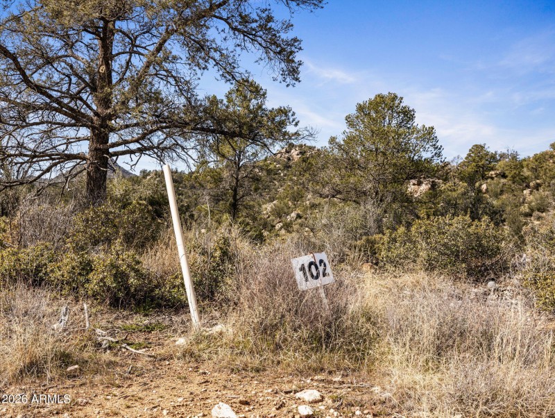 5-web-or-mls-00000 S Drifter Trail-5