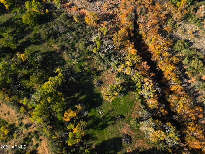 Lower greenscape pasture overhead
