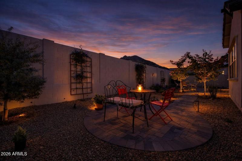 Marsh Wren Twilight Back