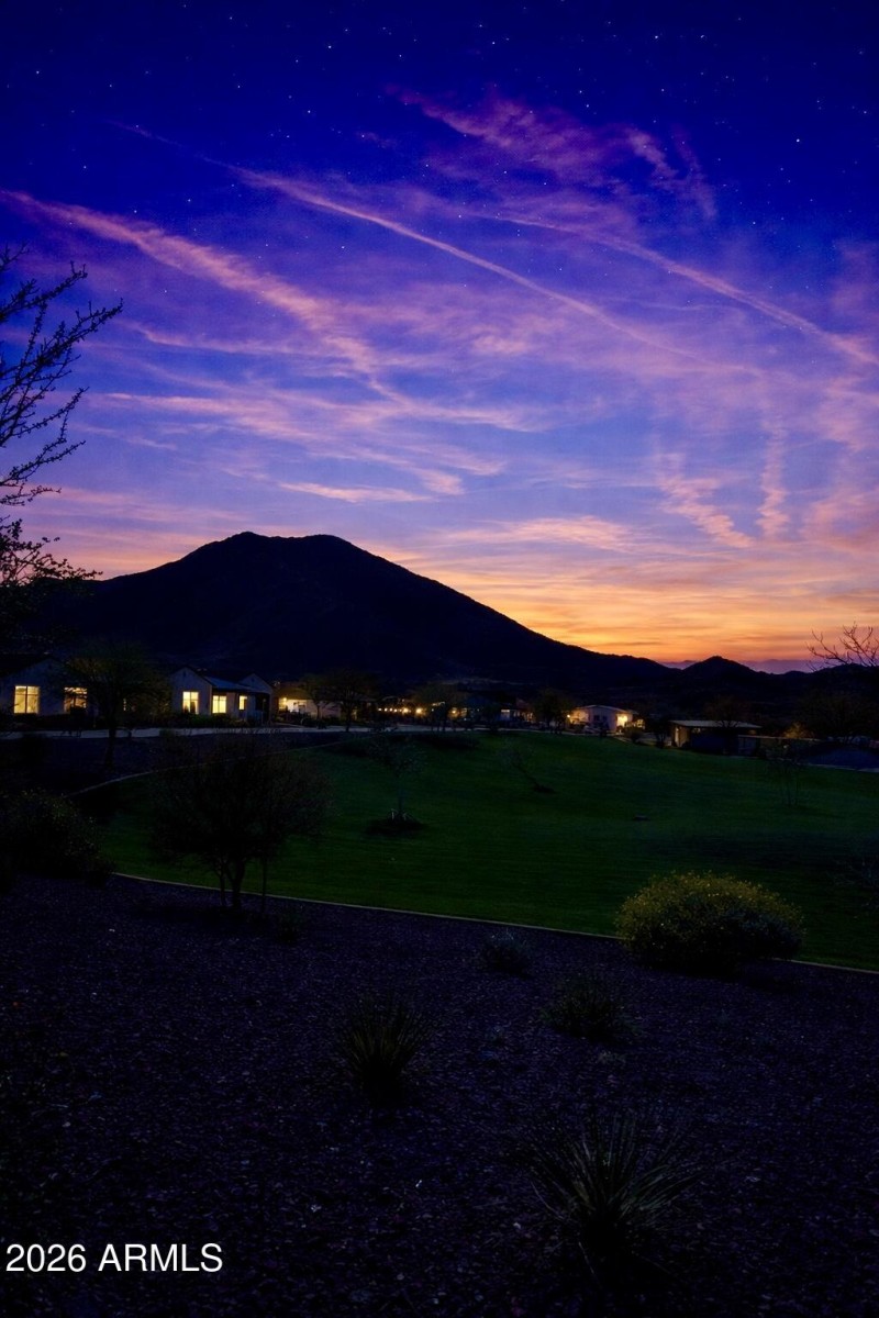 Marsh Wren Twilight 2