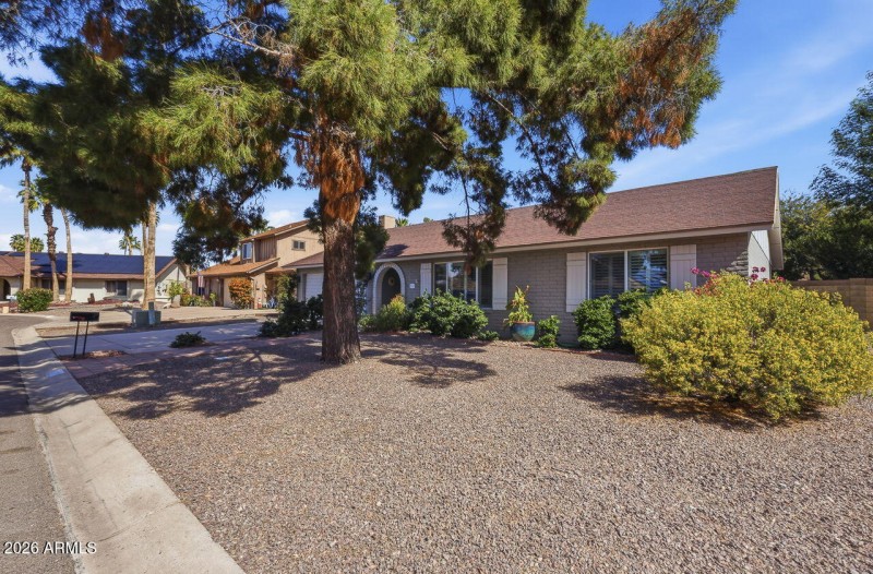 FISH FAMILY HOME IMAGES