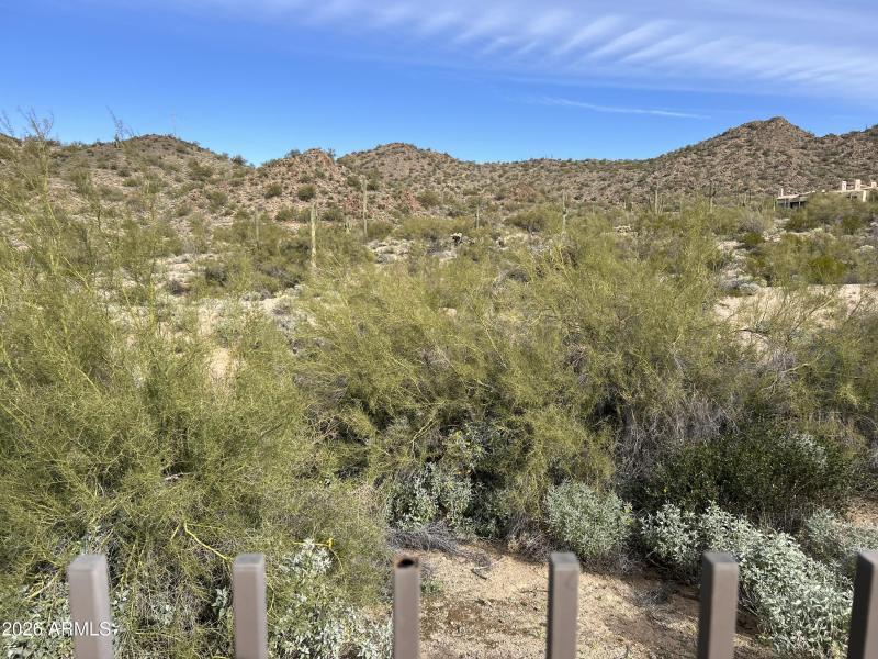 desert over fence from raised patio