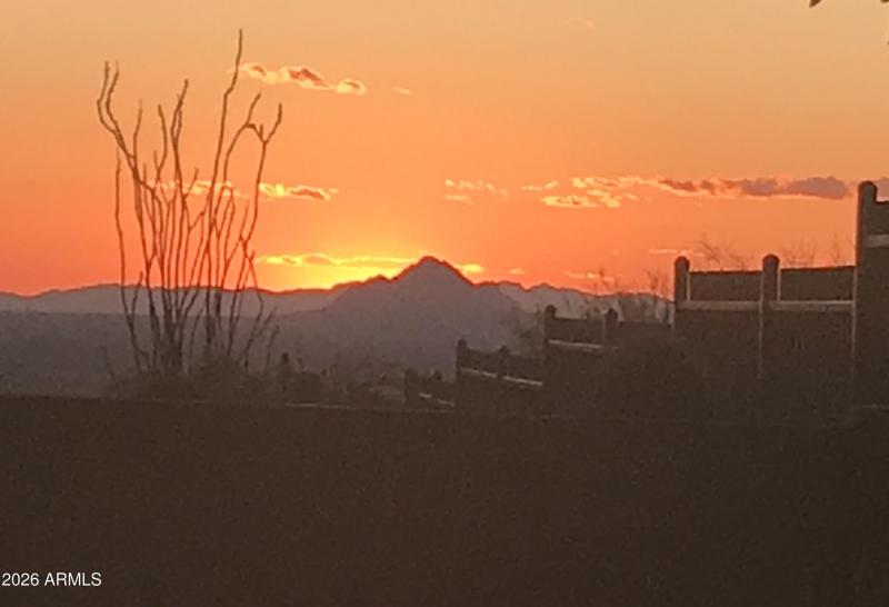 sunset - along fenceline MAR24