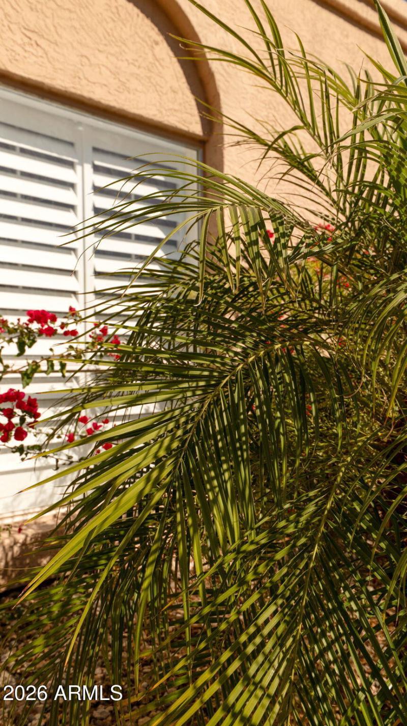 48-web-or-mls-P1442377