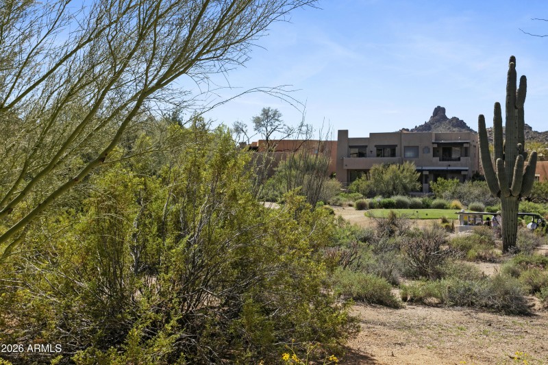 10260EWhiteFeather1041025