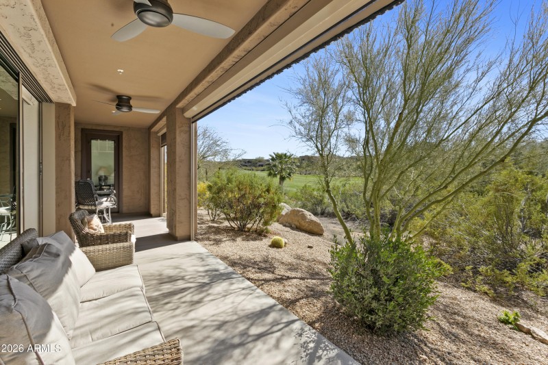 10260EWhiteFeather1041024