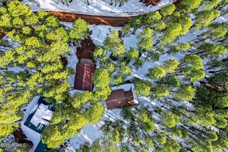 1626QuailTrail-ForestLakes-AZ-44