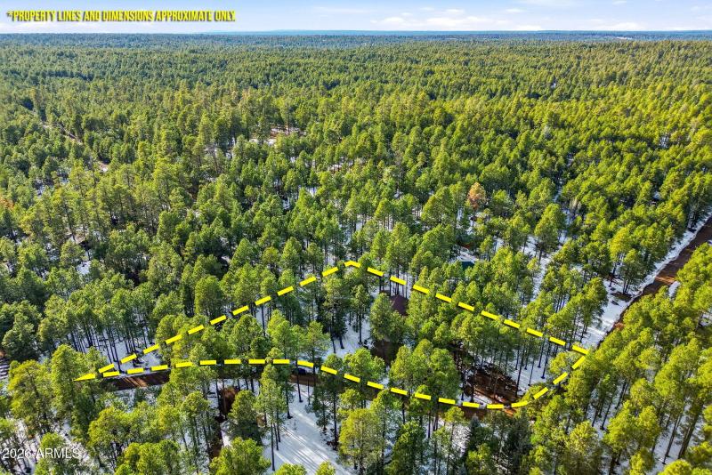 1626QuailTrail-ForestLakes-AZ-46