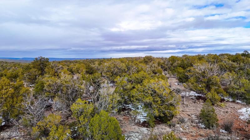 dji_fly_20260219_154440_0406_17715902839