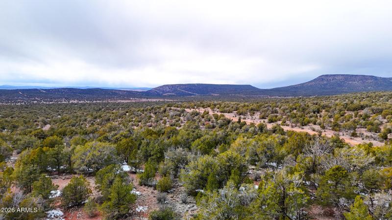 dji_fly_20260219_154450_0407_17715902836