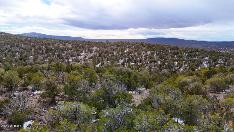 dji_fly_20260219_154434_0404_17715902846