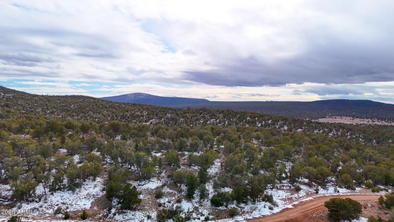 dji_fly_20260219_154404_0396_17715902867