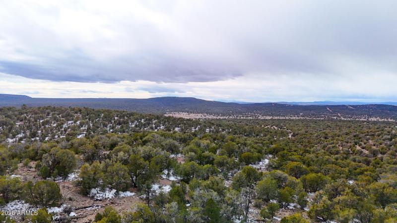 dji_fly_20260219_154418_0399_17715902859