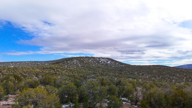 dji_fly_20260219_154424_0400_17715902857