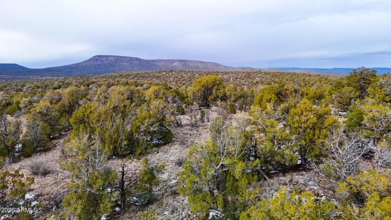 dji_fly_20260219_154438_0405_17715902843