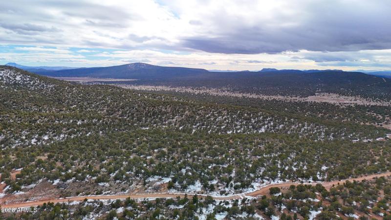 dji_fly_20260219_154342_0395_17715902870