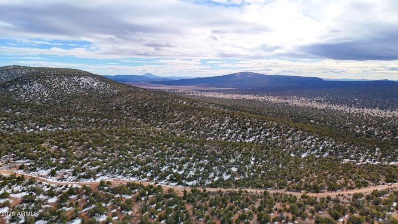 dji_fly_20260219_154250_0391_17715902881