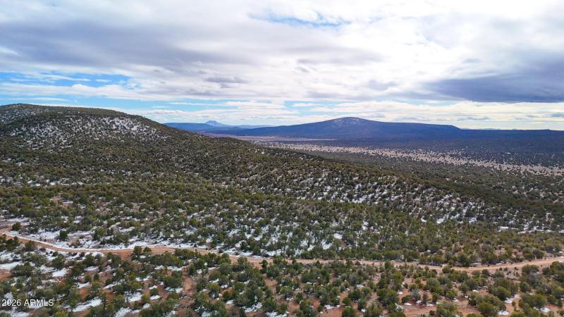 dji_fly_20260219_154254_0392_17715902878