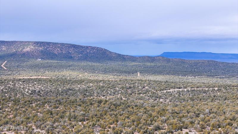 dji_fly_20260219_154210_0389_17715902887