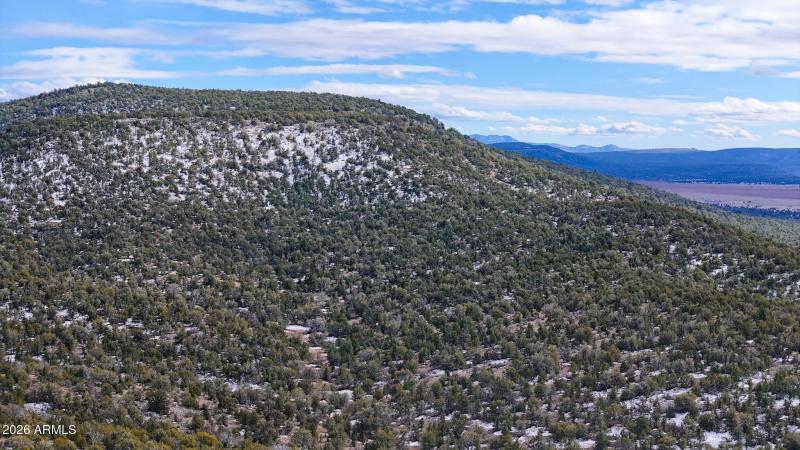 dji_fly_20260219_154154_0383_17715902908