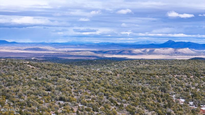 dji_fly_20260219_154202_0386_17715902896